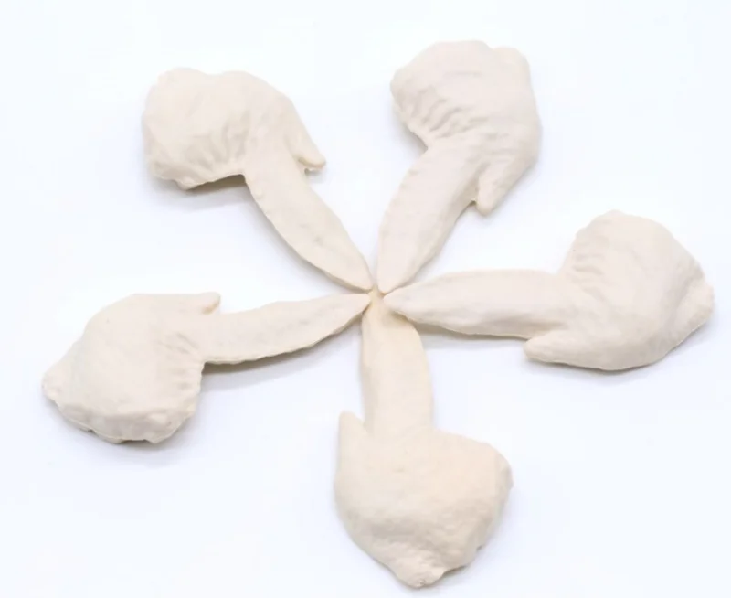 Shaped Dog Dental Chews Wholesale - JC27 Chicken-Wing-Shaped Dental Chew