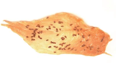 Chicken and Duck Jerky Dog Treats Wholesale - FG16 Chicken Breast Slices with Flaxseed